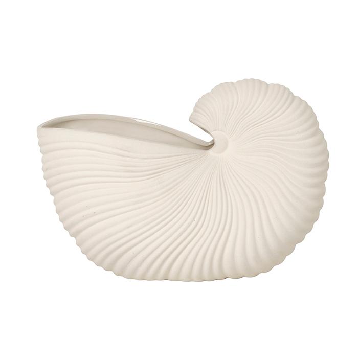 Shell Pot